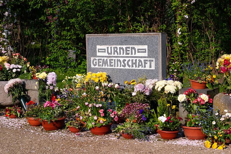 Gepflegte Gemeinschaftsgrabstätte für Urnen, umgeben von zahlreichen bunten Blumen in Töpfen und Vasen.