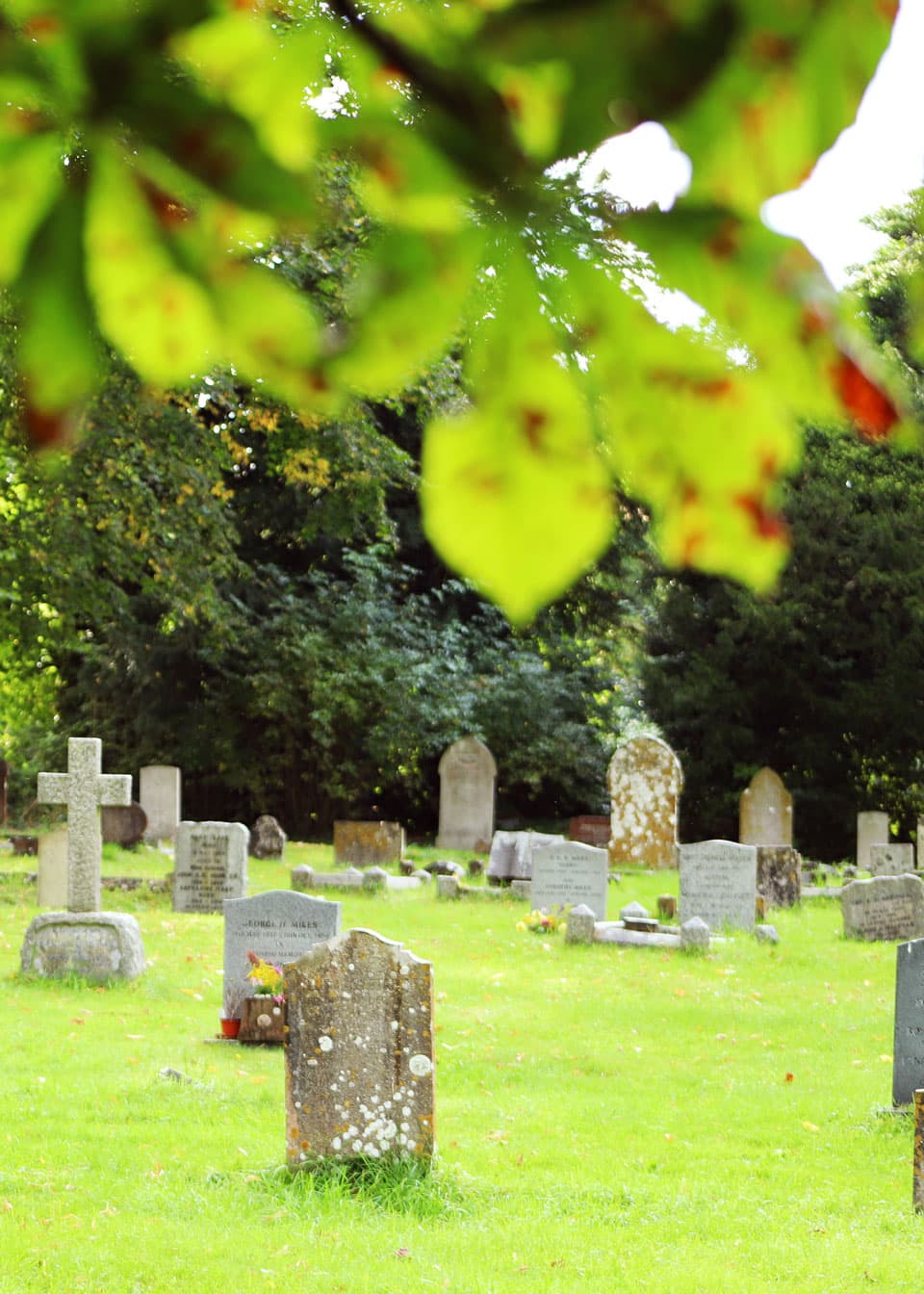 Alte Grabsteine und ein Steinkreuz auf einem sonnigen Friedhof, gerahmt von grünen Blättern eines Baumes.