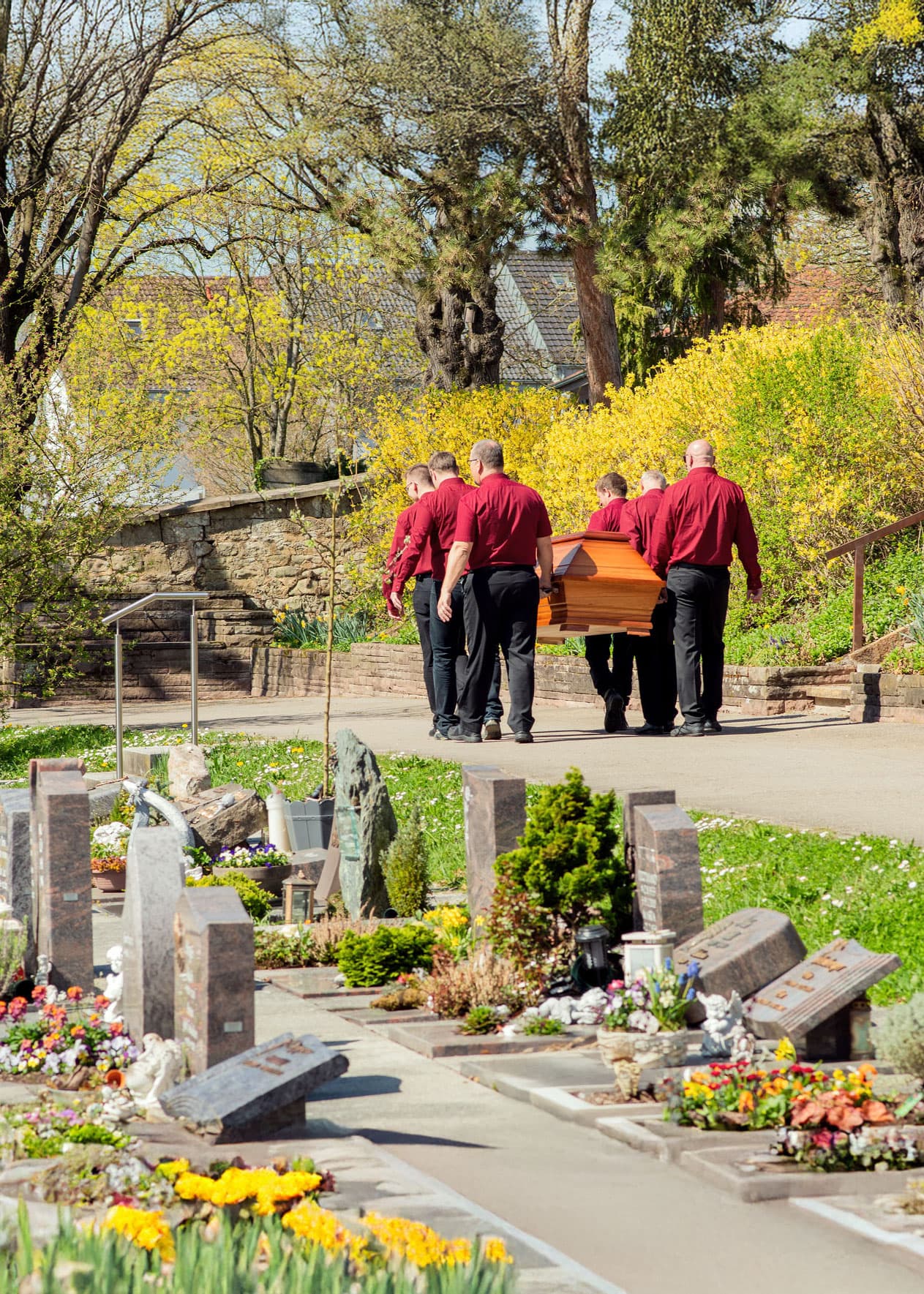 Mitarbeiter von Kuhn Bestattungen tragen einen Sarg über den Friedhofsweg in Asperg