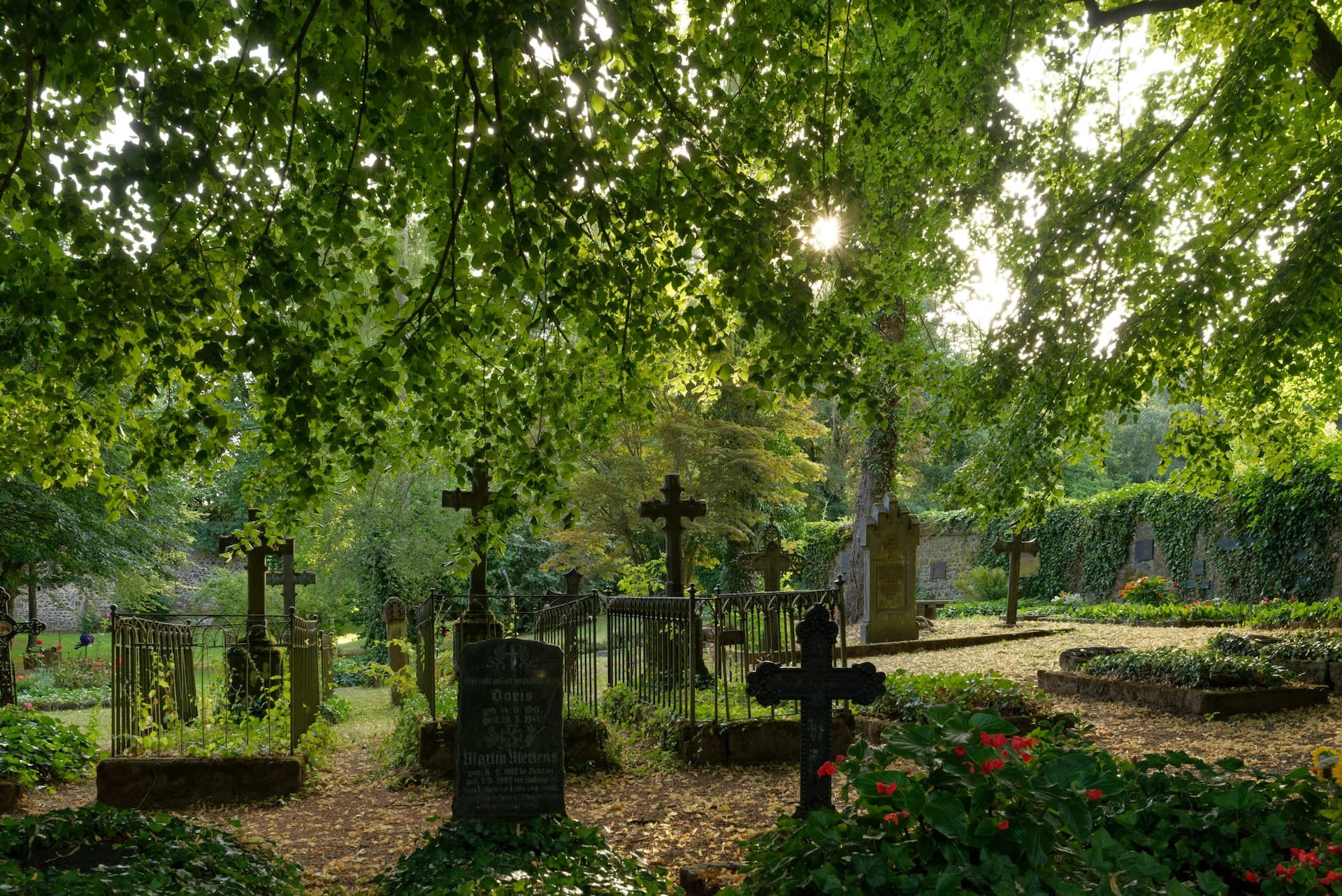 Friedhof Markgröningen im Sommerlicht Sonnendurchfluteter Friedhof Markgröningen mit historischen Grabkreuzen unter dichtem Blätterdach
