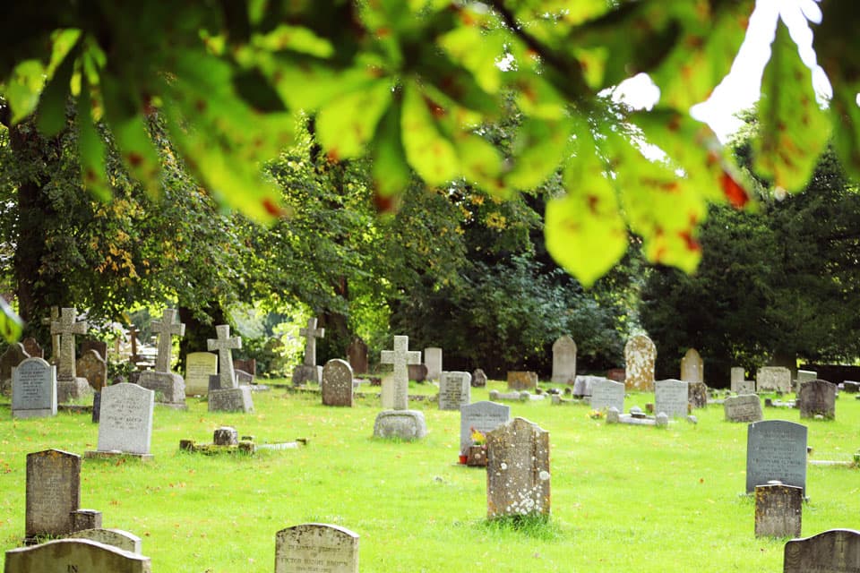 Aufnahme von mehreren Grabsteinen auf dem Friedhof Pflugfelden mit verschwommenen Blättern eines Baums im Vordergrund.