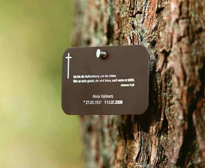 Gedenktafel an einem Baum im FriedWald mit Namen und Bibelvers Titel: Gedenktafel bei Baumbestattung im FriedWald Beschriftung: Gedenktafel für Anna Vollmers im FriedWald mit Bibelvers Johannes 11:25 Beschreibung: Eine Gedenktafel, befestigt an einem Baum im FriedWald, erinnert an Anna Vollmers. Diese Art der Kennzeichnung ist Teil der Baumbestattung, bei der die Asche des Verstorbenen an den Wurzeln eines Baumes beigesetzt wird. Kuhn Bestattungen begleitet diesen Prozess in Asperg, Möglingen und Ludwigsburg. Bilddatei Bezeichnung: gedenktafel-friedwald-baumbestattung-kuhn-bestattungen-asperg.jpg