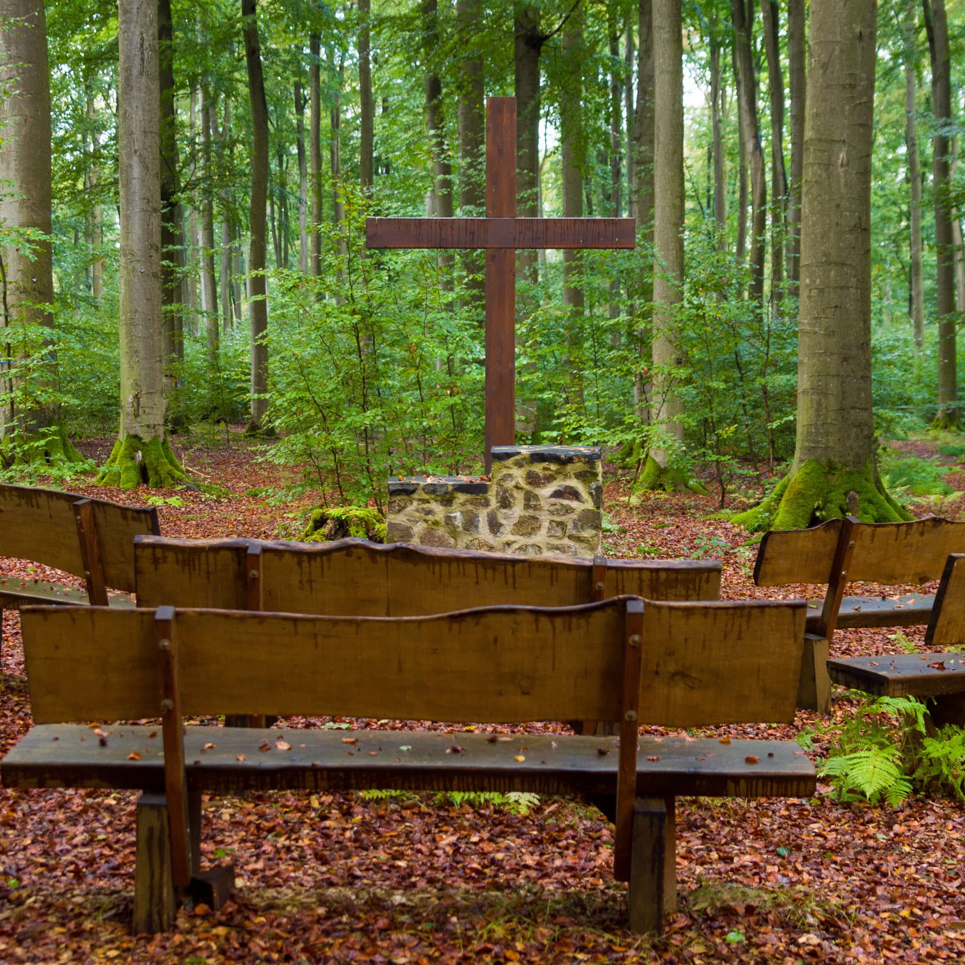 Wald mit Kreuz und Sitzbänken für eine Waldbestattung, organisiert von Kuhn Bestattungen in Asperg, Möglingen und Ludwigsburg.
