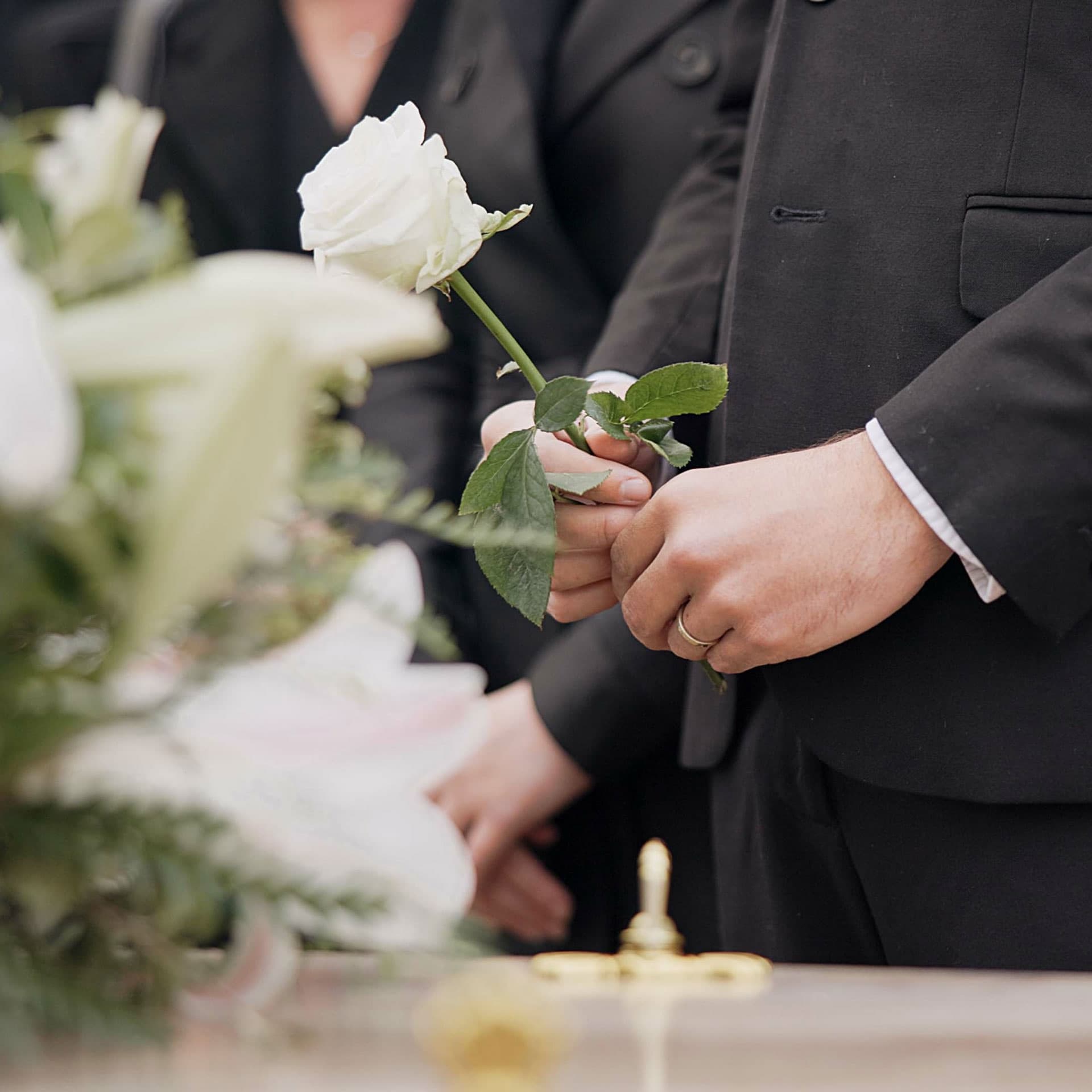 Nahaufnahme eines Trauernden im schwarzen Anzug, der eine einzelne weiße Rose am Grab hält. Ein Symbolbild für respektvolle Gesten und angemessenes Verhalten beim Kondolieren auf einer Beerdigung – Ratgeber von Kuhn Bestattungen.