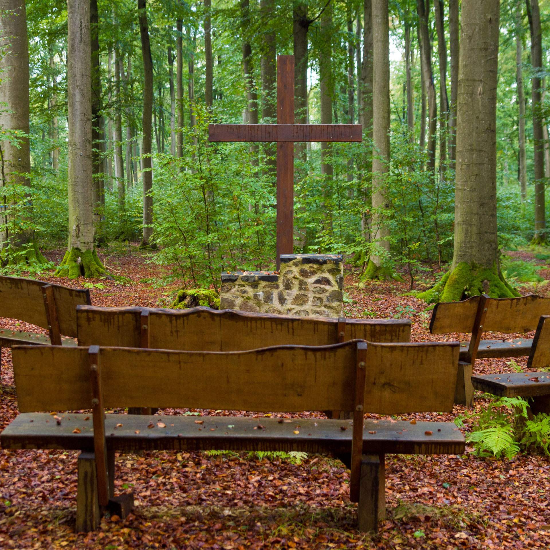 Wald mit Kreuz und Sitzbänken für eine Waldbestattung - Kuhn Bestattungen, Bestatter Asperg, Waldbestattung